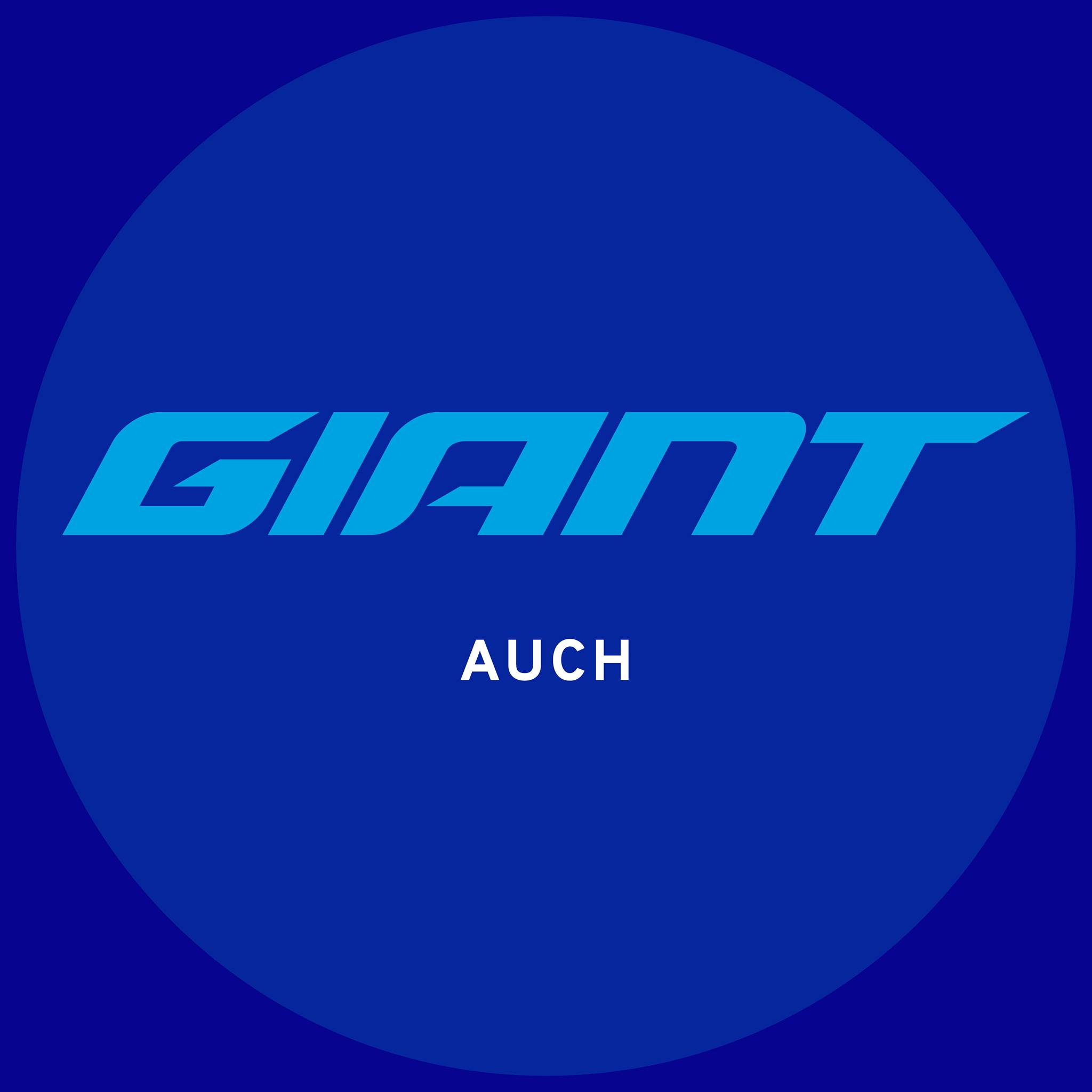 Giant Store Auch