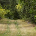 DSCN0358