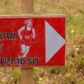DSCN0365